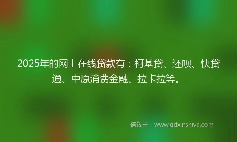 2025年的网上在线贷款有：柯基贷、还呗、快贷通、中原消费金融、拉卡拉等。