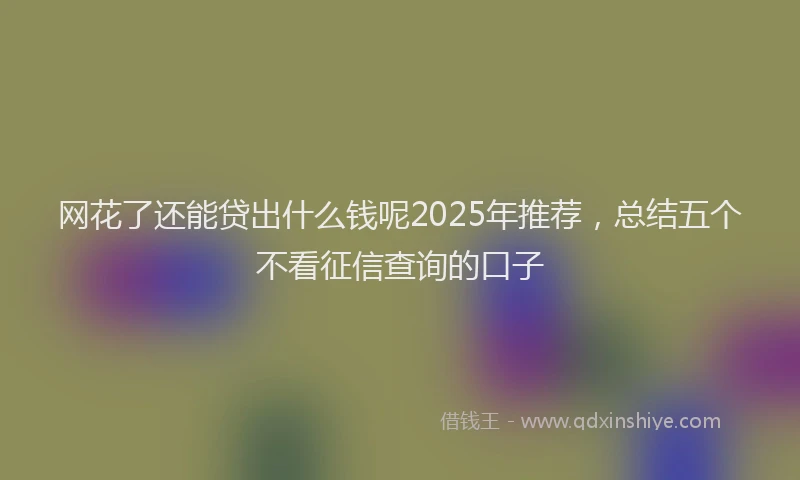 网花了还能贷出什么钱呢2025年推荐，总结五个不看征信查询的口子