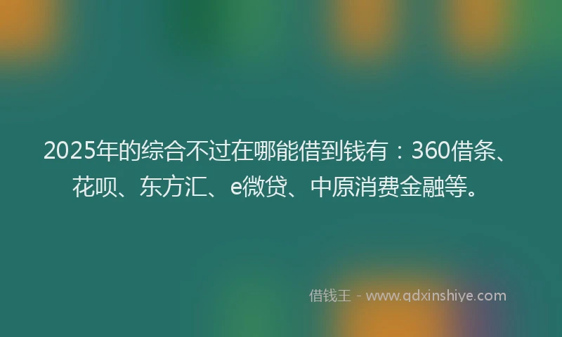 2025年的综合不过在哪能借到钱有：360借条、花呗、东方汇、e微贷、中原消费金融等。
