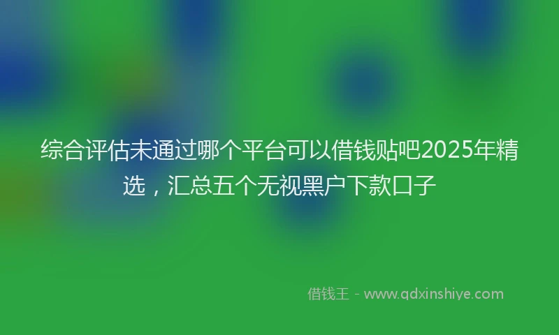 综合评估未通过哪个平台可以借钱贴吧2025年精选，汇总五个无视黑户下款口子