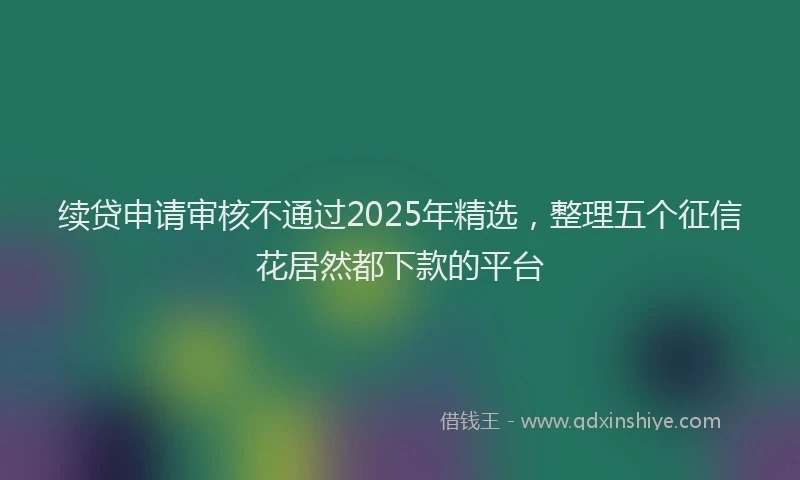 续贷申请审核不通过2025年精选，整理五个征信花居然都下款的平台