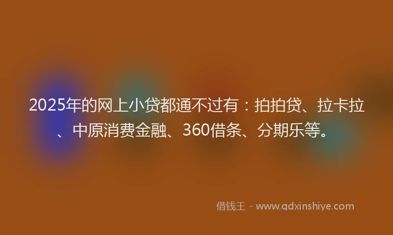 2025年的网上小贷都通不过有：拍拍贷、拉卡拉、中原消费金融、360借条、分期乐等。