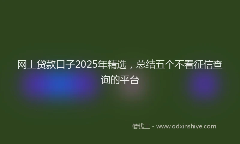 网上贷款口子2025年精选，总结五个不看征信查询的平台