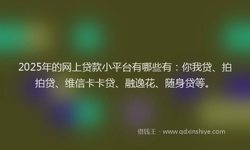 2025年的网上贷款小平台有哪些有：你我贷、拍拍贷、维信卡卡贷、融逸花、随身贷等。