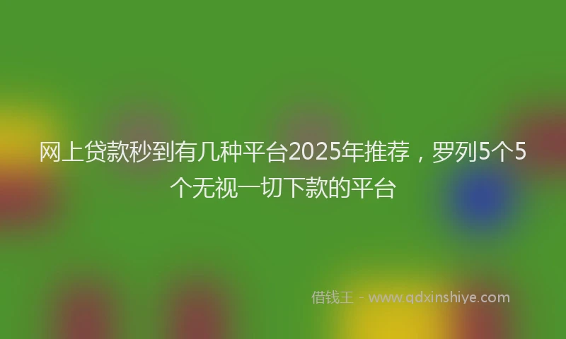 网上贷款秒到有几种平台2025年推荐，罗列5个5个无视一切下款的平台