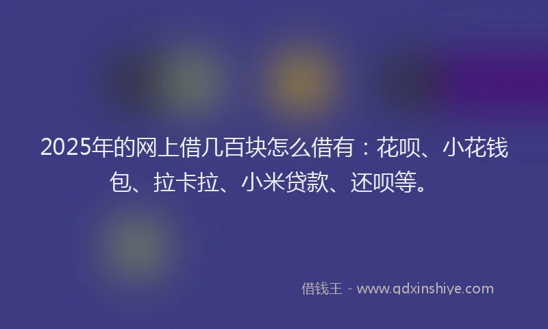 2025年的网上借几百块怎么借有：花呗、小花钱包、拉卡拉、小米贷款、还呗等。
