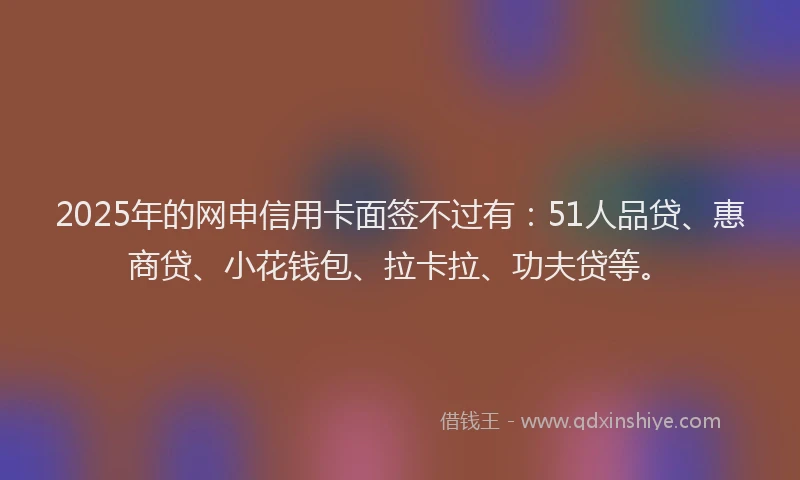 2025年的网申信用卡面签不过有：51人品贷、惠商贷、小花钱包、拉卡拉、功夫贷等。