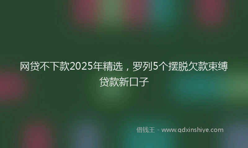 网贷不下款2025年精选，罗列5个摆脱欠款束缚贷款新口子