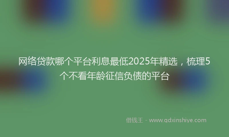 网络贷款哪个平台利息最低2025年精选，梳理5个不看年龄征信负债的平台