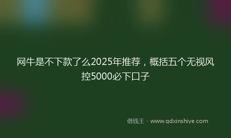 网牛是不下款了么2025年推荐，概括五个无视风控5000必下口子