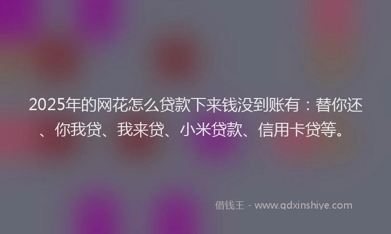 2025年的网花怎么贷款下来钱没到账有：替你还、你我贷、我来贷、小米贷款、信用卡贷等。