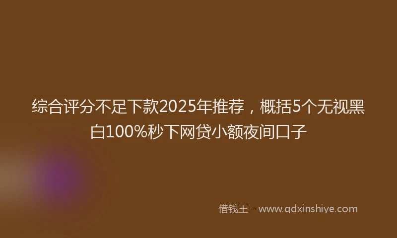 综合评分不足下款2025年推荐，概括5个无视黑白100%秒下网贷小额夜间口子