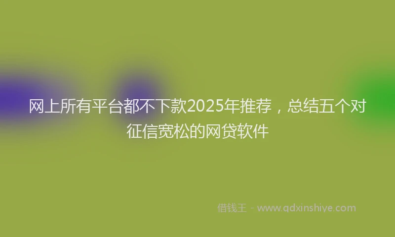 网上所有平台都不下款2025年推荐，总结五个对征信宽松的网贷软件