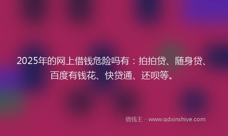 2025年的网上借钱危险吗有：拍拍贷、随身贷、百度有钱花、快贷通、还呗等。