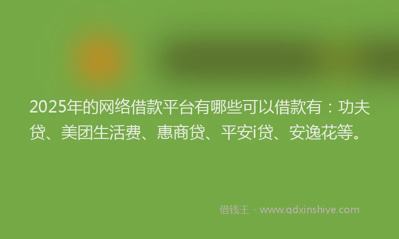 2025年的网络借款平台有哪些可以借款有：功夫贷、美团生活费、惠商贷、平安i贷、安逸花等。