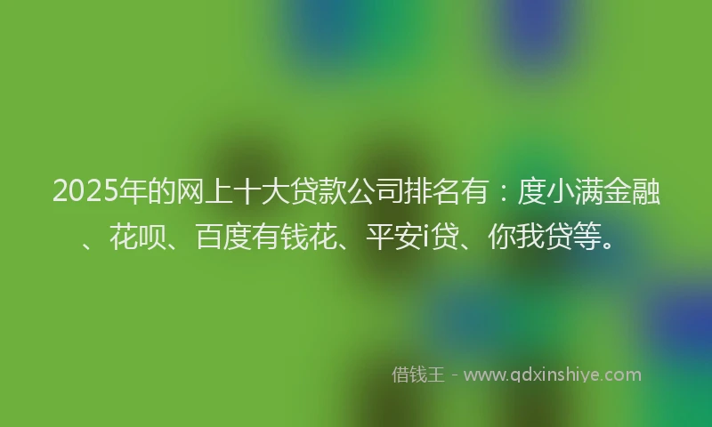 2025年的网上十大贷款公司排名有：度小满金融、花呗、百度有钱花、平安i贷、你我贷等。