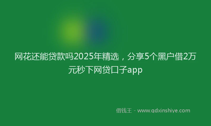 网花还能贷款吗2025年精选，分享5个黑户借2万元秒下网贷口子app