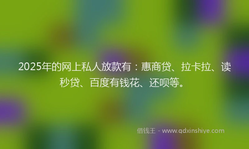 2025年的网上私人放款有：惠商贷、拉卡拉、读秒贷、百度有钱花、还呗等。