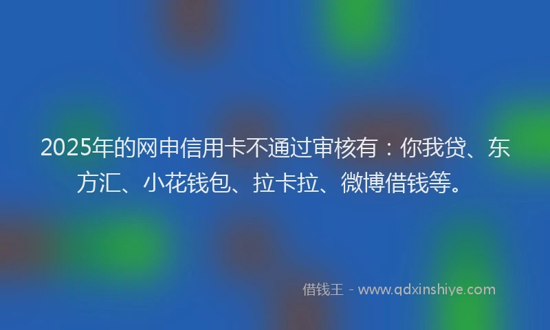2025年的网申信用卡不通过审核有：你我贷、东方汇、小花钱包、拉卡拉、微博借钱等。