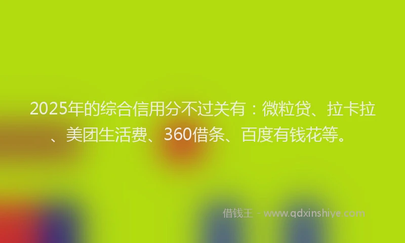 2025年的综合信用分不过关有：微粒贷、拉卡拉、美团生活费、360借条、百度有钱花等。