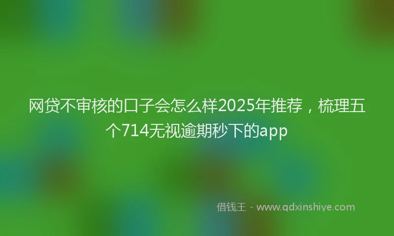网贷不审核的口子会怎么样2025年推荐，梳理五个714无视逾期秒下的app