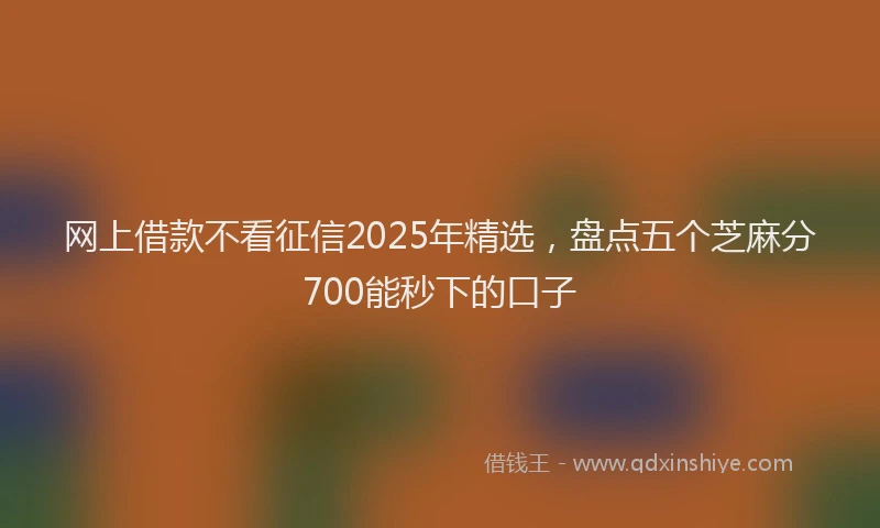 网上借款不看征信2025年精选，盘点五个芝麻分700能秒下的口子