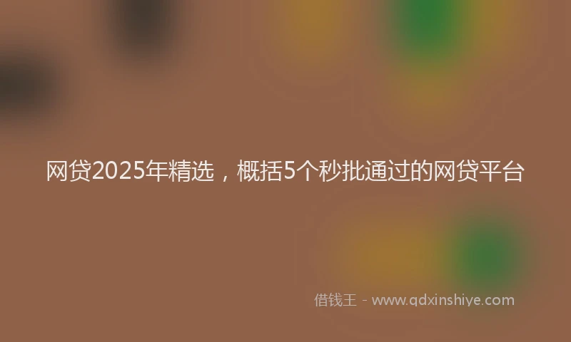 网贷2025年精选，概括5个秒批通过的网贷平台