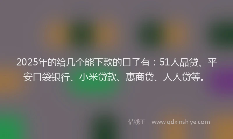 2025年的给几个能下款的口子有：51人品贷、平安口袋银行、小米贷款、惠商贷、人人贷等。