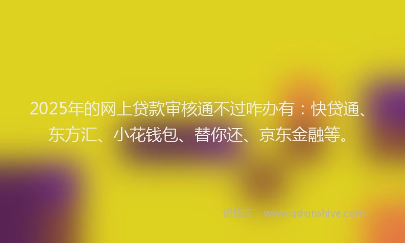 2025年的网上贷款审核通不过咋办有：快贷通、东方汇、小花钱包、替你还、京东金融等。