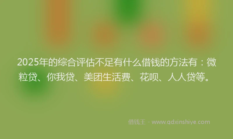 2025年的综合评估不足有什么借钱的方法有：微粒贷、你我贷、美团生活费、花呗、人人贷等。