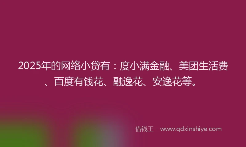 2025年的网络小贷有：度小满金融、美团生活费、百度有钱花、融逸花、安逸花等。