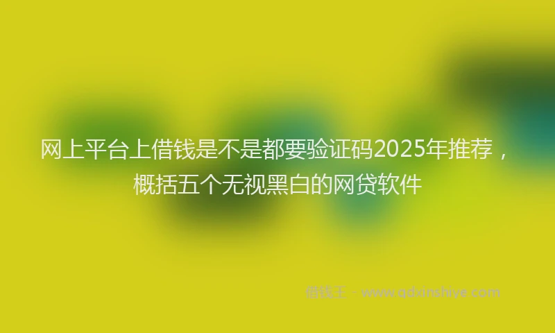 网上平台上借钱是不是都要验证码2025年推荐，概括五个无视黑白的网贷软件