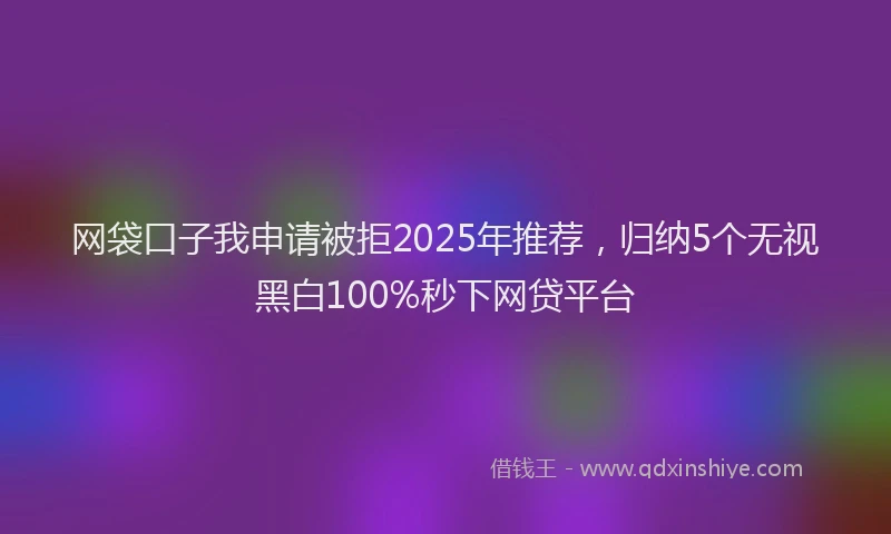 网袋口子我申请被拒2025年推荐，归纳5个无视黑白100%秒下网贷平台