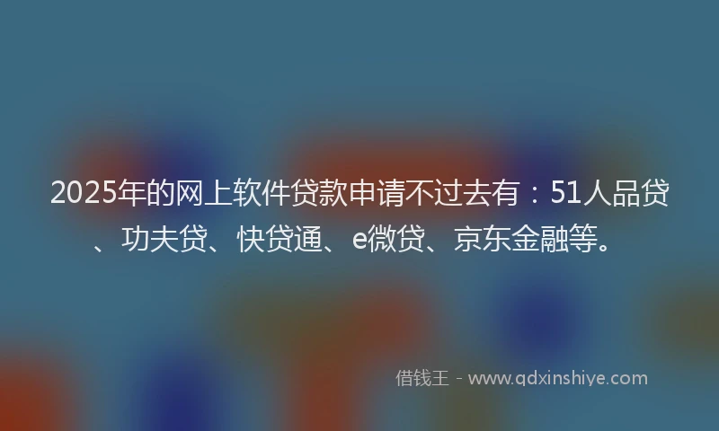 2025年的网上软件贷款申请不过去有：51人品贷、功夫贷、快贷通、e微贷、京东金融等。