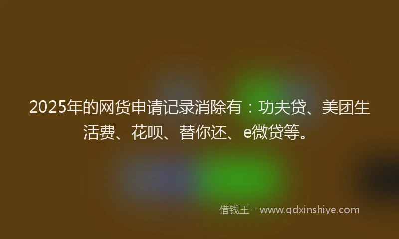 2025年的网货申请记录消除有：功夫贷、美团生活费、花呗、替你还、e微贷等。