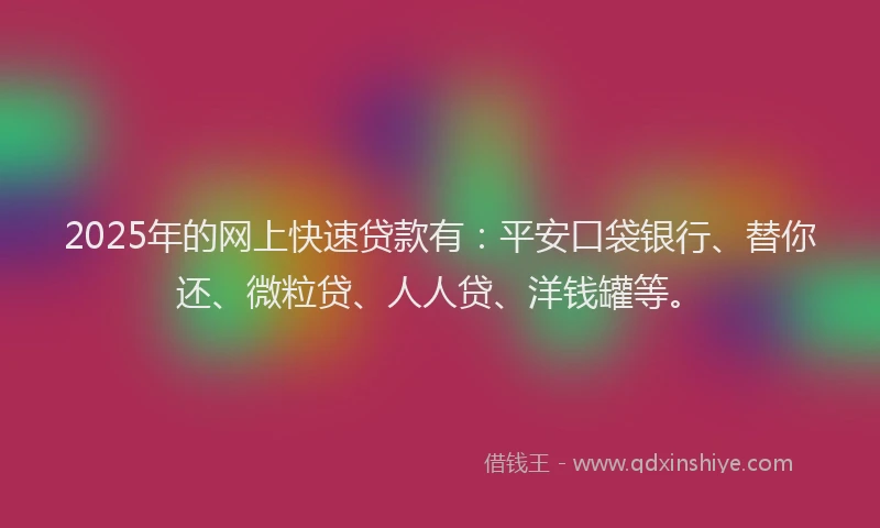 2025年的网上快速贷款有：平安口袋银行、替你还、微粒贷、人人贷、洋钱罐等。