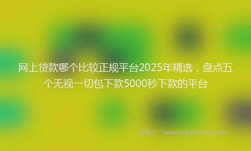 网上贷款哪个比较正规平台2025年精选，盘点五个无视一切包下款5000秒下款的平台