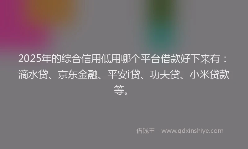2025年的综合信用低用哪个平台借款好下来有：滴水贷、京东金融、平安i贷、功夫贷、小米贷款等。