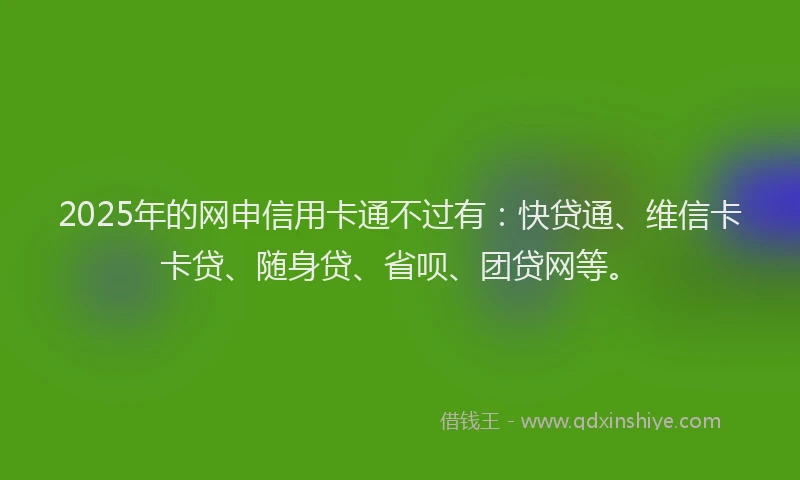 2025年的网申信用卡通不过有：快贷通、维信卡卡贷、随身贷、省呗、团贷网等。