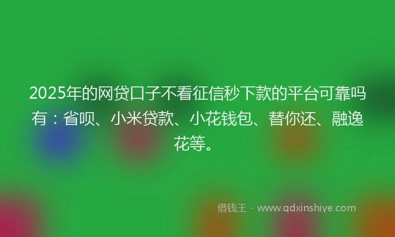 2025年的网贷口子不看征信秒下款的平台可靠吗有：省呗、小米贷款、小花钱包、替你还、融逸花等。
