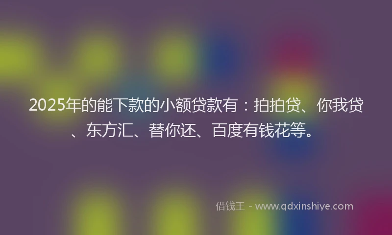 2025年的能下款的小额贷款有：拍拍贷、你我贷、东方汇、替你还、百度有钱花等。