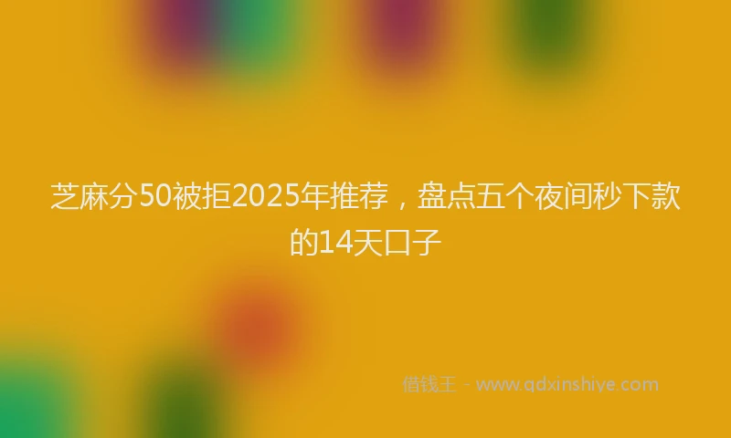 芝麻分50被拒2025年推荐，盘点五个夜间秒下款的14天口子