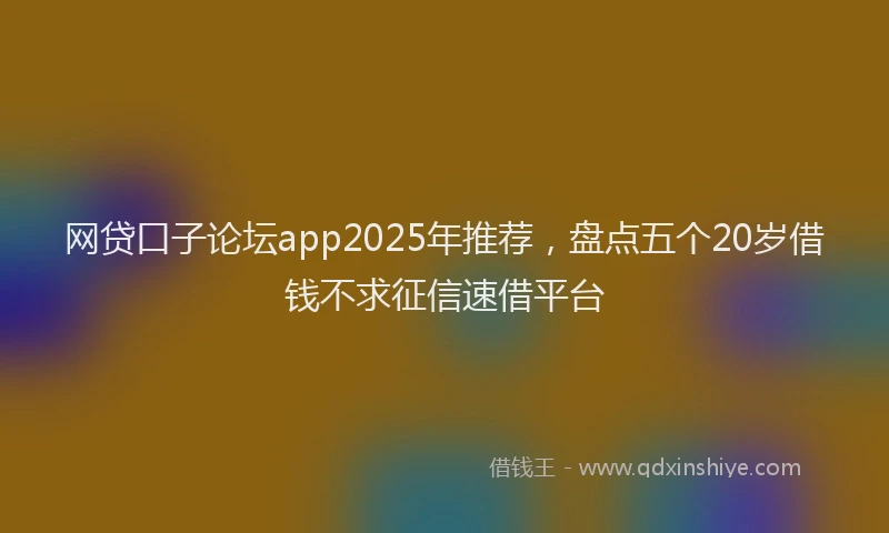 网贷口子论坛app2025年推荐，盘点五个20岁借钱不求征信速借平台
