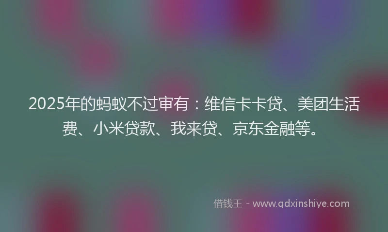 2025年的蚂蚁不过审有：维信卡卡贷、美团生活费、小米贷款、我来贷、京东金融等。