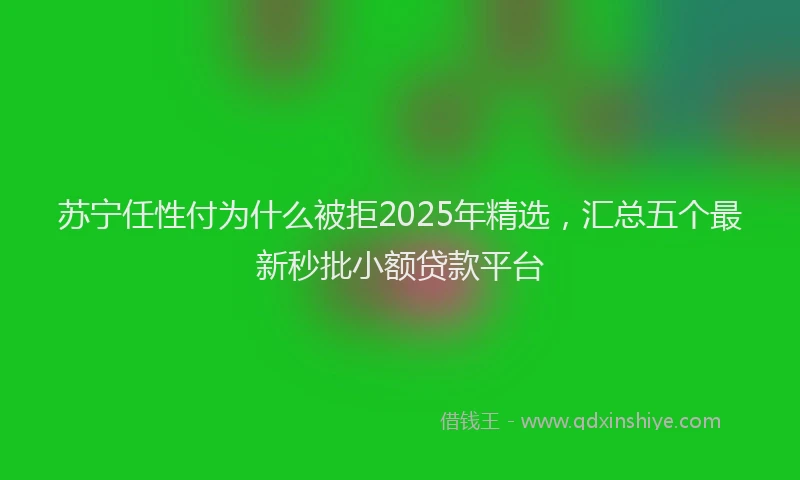 苏宁任性付为什么被拒2025年精选，汇总五个最新秒批小额贷款平台