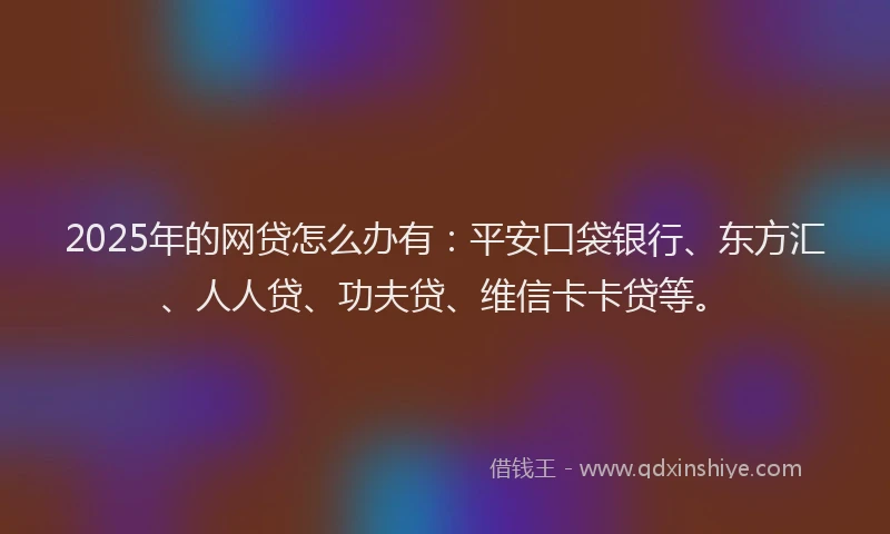 2025年的网贷怎么办有：平安口袋银行、东方汇、人人贷、功夫贷、维信卡卡贷等。
