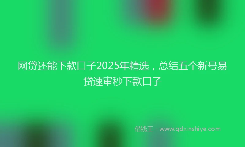 网贷还能下款口子2025年精选，总结五个新号易贷速审秒下款口子