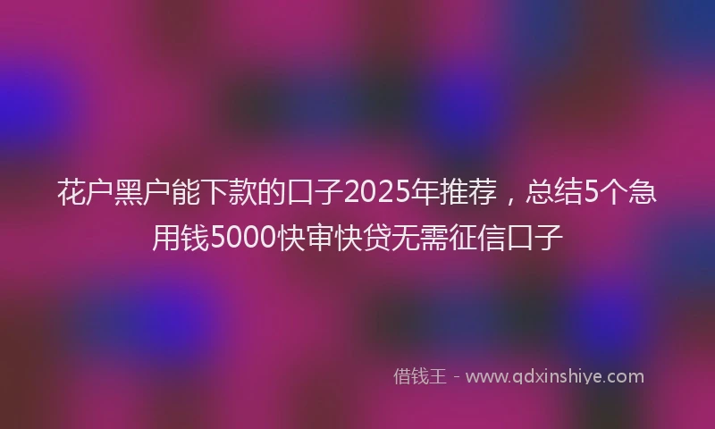 花户黑户能下款的口子2025年推荐，总结5个急用钱5000快审快贷无需征信口子