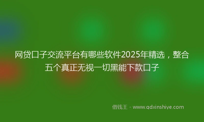网贷口子交流平台有哪些软件2025年精选，整合五个真正无视一切黑能下款口子