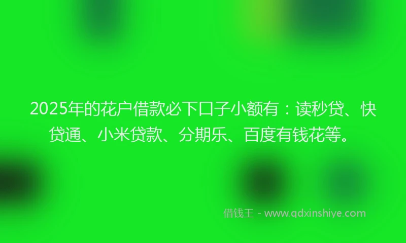 2025年的花户借款必下口子小额有：读秒贷、快贷通、小米贷款、分期乐、百度有钱花等。